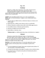 Referāts 'Fotokamera vai telefons', 2.