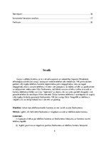 Referāts 'Fotokamera vai telefons', 4.