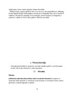 Referāts 'Fotokamera vai telefons', 10.