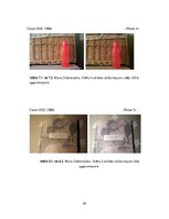 Referāts 'Fotokamera vai telefons', 22.