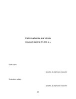 Referāts 'Fotokamera vai telefons', 23.