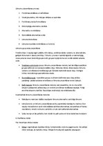 Konspekts 'Vadības teorija', 8.