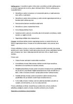 Konspekts 'Vadības teorija', 12.