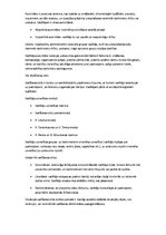 Konspekts 'Vadības teorija', 19.