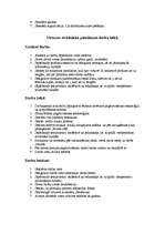 Konspekts 'Darbinieku funkcionālie pienākumi', 2.