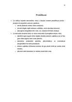 Referāts 'Latvijas sociāli ekonomiskās attīstības pamatproblēmas mūsdienās', 30.