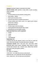 Prakses atskaite 'Kvalifikācijas eksāmens. No bitītes salds medutiņš', 8.