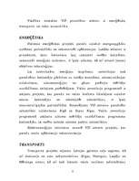 Referāts 'Valsts investīciju programma', 8.