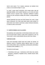 Diplomdarbs 'Sociālā darbinieka resursi un metodes darbā ar cilvēkiem ar garīga rakstura trau', 22.