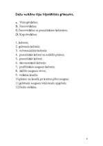 Referāts 'Vulkāni', 6.