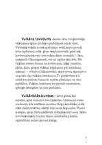 Referāts 'Vulkāni', 8.