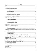 Referāts 'Augstākās izglītības izvēle Latvijā', 2.