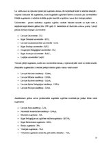 Referāts 'Augstākās izglītības izvēle Latvijā', 10.