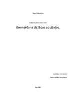 Referāts 'Zinātniski pētnieciskais darbs: bremzēšana dažādos apstākļos', 1.