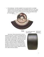 Referāts 'Zinātniski pētnieciskais darbs: bremzēšana dažādos apstākļos', 5.