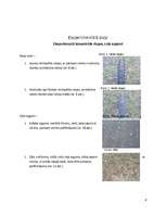 Referāts 'Zinātniski pētnieciskais darbs: bremzēšana dažādos apstākļos', 8.