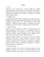 Referāts 'Deleģēšana', 2.