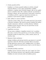 Referāts 'Deleģēšana', 7.