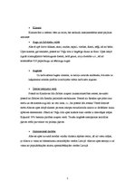 Referāts 'Upes plūsma vaļējās gultnēs. Abavas upes apraksts un analīze', 5.