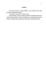 Referāts 'Finanšu plānošana', 2.