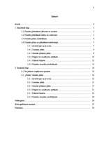 Referāts 'Finanšu plānošana', 3.