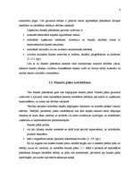 Referāts 'Finanšu plānošana', 6.