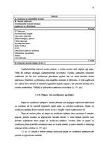 Referāts 'Finanšu plānošana', 10.