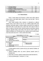 Referāts 'Finanšu plānošana', 12.