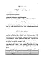 Referāts 'Finanšu plānošana', 14.