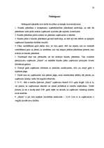 Referāts 'Finanšu plānošana', 26.