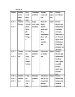 Referāts 'Aprūpes plāns - bronhīts', 9.