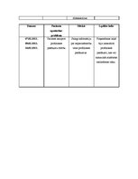 Referāts 'Aprūpes plāns - bronhīts', 12.