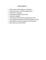 Referāts 'Aprūpes plāns - bronhīts', 13.