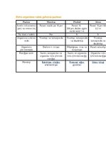 Konspekts 'Dzīvo organismu valsts galvenās pazīmes', 1.