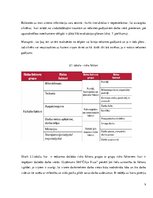 Prakses atskaite 'Uzņēmums SIA "Čilija Pizza"', 9.