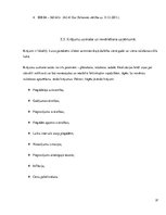 Prakses atskaite 'Uzņēmums SIA "Čilija Pizza"', 37.