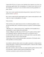 Prakses atskaite 'Uzņēmums SIA "Čilija Pizza"', 38.