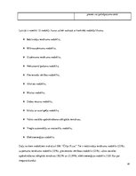 Prakses atskaite 'Uzņēmums SIA "Čilija Pizza"', 40.