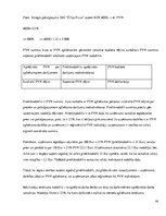 Prakses atskaite 'Uzņēmums SIA "Čilija Pizza"', 43.