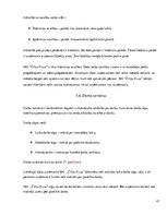 Prakses atskaite 'Uzņēmums SIA "Čilija Pizza"', 47.