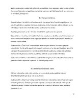 Prakses atskaite 'Uzņēmums SIA "Čilija Pizza"', 91.