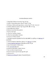 Prakses atskaite 'Uzņēmums SIA "Čilija Pizza"', 100.