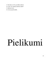 Prakses atskaite 'Uzņēmums SIA "Čilija Pizza"', 101.
