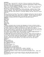 Eseja 'Moonboom Island Field Report', 1.