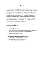 Referāts 'Biznesa inkubatoru raksturojums', 2.