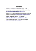 Referāts 'Anglicismu lietojums ziņu portālos "Delfi", "Tvnet" un "Apollo"', 5.