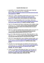 Referāts 'Anglicismu lietojums ziņu portālos "Delfi", "Tvnet" un "Apollo"', 6.