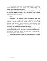 Referāts 'Islandes daba', 5.