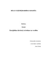 Referāts 'Enerģētikas dzērieni, to ietekme uz veselību', 1.