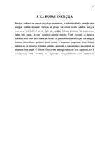 Referāts 'Enerģētikas dzērieni, to ietekme uz veselību', 12.